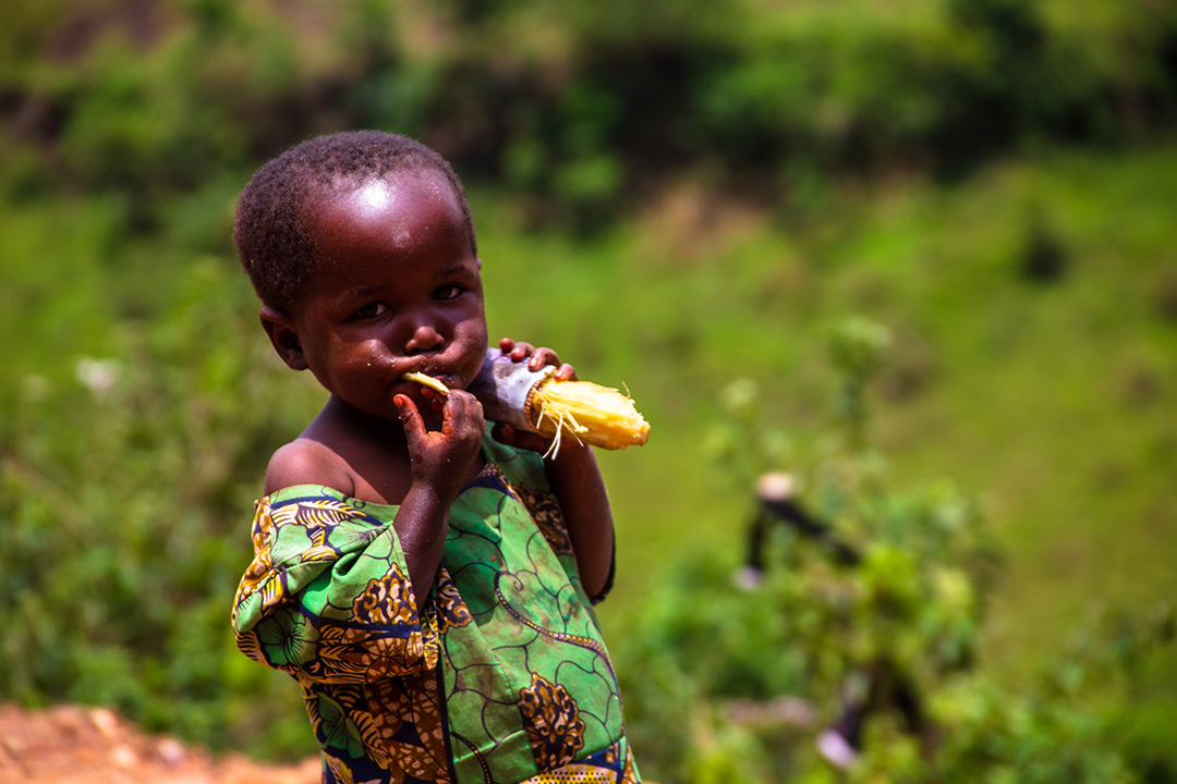 brenda eating a sugar cane